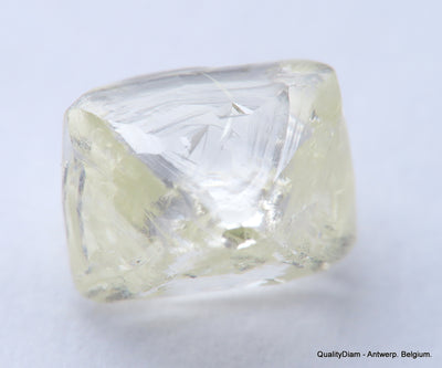 Billion years old beautiful diamond out from diamond mine 2.42 carats gem stone