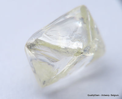 Billion years old beautiful diamond out from diamond mine 2.42 carats gem stone