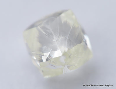 G VS1 diamond ideal for uncut diamond jewelry. Out from a diamond mine 0.44 carat