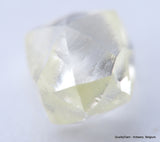 Clean White Rough Diamond High Value High Quality H Flawless Diamond 0.50 carat