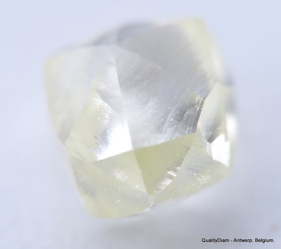 Clean White Rough Diamond High Value High Quality H Flawless Diamond 0.50 carat