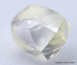 Clean White Rough Diamond High Value High Quality H Flawless Diamond 0.50 carat
