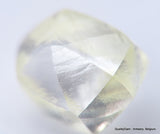 Clean White Rough Diamond High Value High Quality H Flawless Diamond 0.50 carat