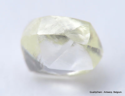 Clean White Rough Diamond High Value High Quality H Flawless Diamond 0.50 carat