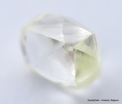 Clean White Rough Diamond High Value High Quality H Flawless Diamond 0.50 carat