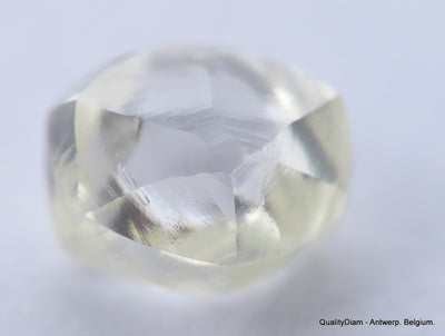 H VVS1 diamond ideal for uncut diamond jewelry. Out from a diamond mine 0.54 carat