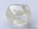 Clean White Rough Diamond High Value High Quality H Flawless Diamond 0.55 carat