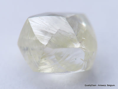 Clean White Rough Diamond High Value High Quality H Flawless Diamond 0.55 carat