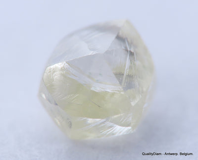 Clean White Rough Diamond High Value High Quality H Flawless Diamond 0.55 carat