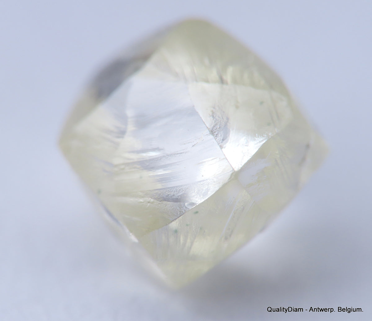CLEAN WHITE ROUGH DIAMOND HIGH VALUE HIGH QUALITY H FLAWLESS DIAMOND ...