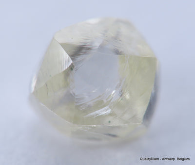 Clean White Rough Diamond High Value High Quality H Flawless Diamond 0.55 carat