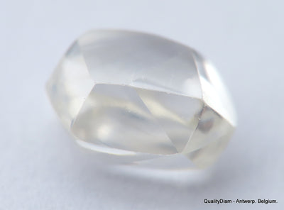 F VS1 diamond ideal for uncut diamond jewelry. Out from a diamond mine 0.61 carat