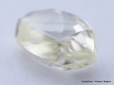 H VS1 0.61 Carat Diamond Out From Diamond Mine Precious Gemstone Natural Diamond