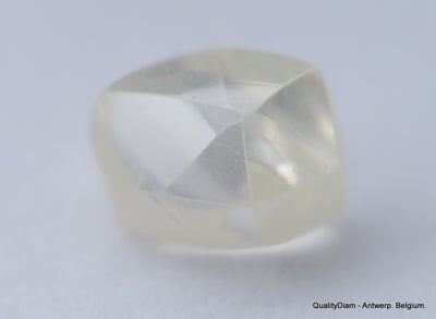G VVS1 natural diamond ideal for uncut diamond jewelry. Out from a diamond mine 0.61 carat