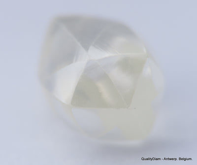 G VVS1 natural diamond ideal for uncut diamond jewelry. Out from a diamond mine 0.61 carat