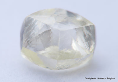 H VVS1 diamond ideal for uncut diamond jewelry. Out from a diamond mine 0.62 carat