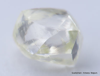 H VVS1 diamond ideal for uncut diamond jewelry. Out from a diamond mine 0.62 carat.
