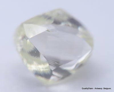 H VVS1 diamond ideal for uncut diamond jewelry. Out from a diamond mine 0.62 carat.