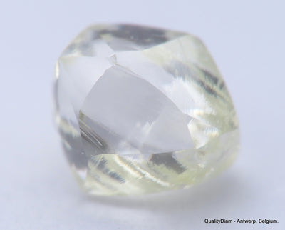 H VVS1 diamond ideal for uncut diamond jewelry. Out from a diamond mine 0.62 carat.