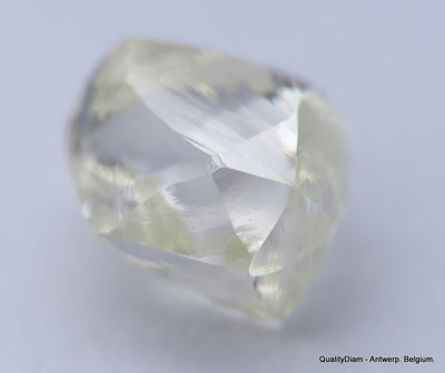H VVS1 diamond ideal for uncut diamond jewelry. Out from a diamond mine 0.62 carat.