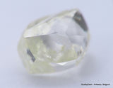H VVS1 diamond ideal for uncut diamond jewelry. Out from a diamond mine 0.62 carat.