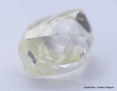 H VVS1 diamond ideal for uncut diamond jewelry. Out from a diamond mine 0.62 carat.