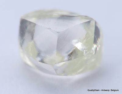 H VVS1 diamond ideal for uncut diamond jewelry. Out from a diamond mine 0.62 carat.