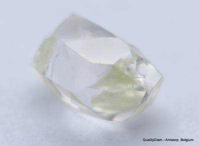 H VS2 0.63 Carat Diamond Out From Diamond Mine Precious Gemstone Natural Diamond