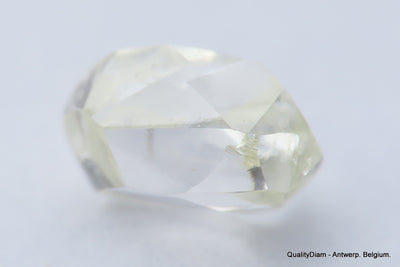 H VS2 0.63 Carat Diamond Out From Diamond Mine Precious Gemstone Natural Diamond