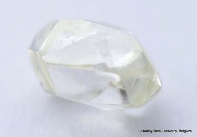 H VS2 0.63 Carat Diamond Out From Diamond Mine Precious Gemstone Natural Diamond