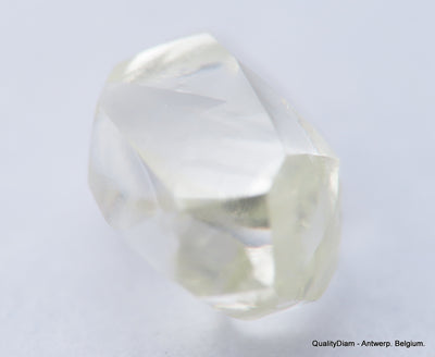 H VS2 0.63 Carat Diamond Out From Diamond Mine Precious Gemstone Natural Diamond
