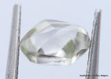 G Flawless, clean white gem diamond out from a diamond mine. Natural diamond. 0.71 Cts.