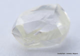 H VS1, 0.75 Carat Diamond Out From Diamond Mine Precious Gemstone Natural Diamond