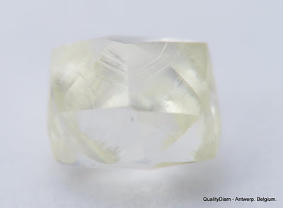 Clean White Rough Diamond High Value High Quality H Flawless Diamond 0.64 carat