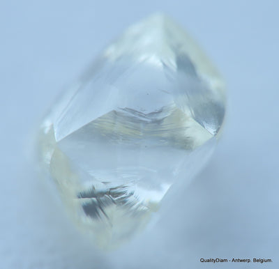 H VVS2 beautiful diamond out from a diamond mine. High quality natural diamond