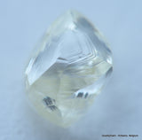 H VVS2 beautiful diamond out from a diamond mine. High quality natural diamond