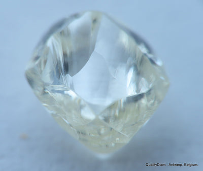 H VVS1 Real & beautiful diamond out diamond mine. natural, uncut gemstone