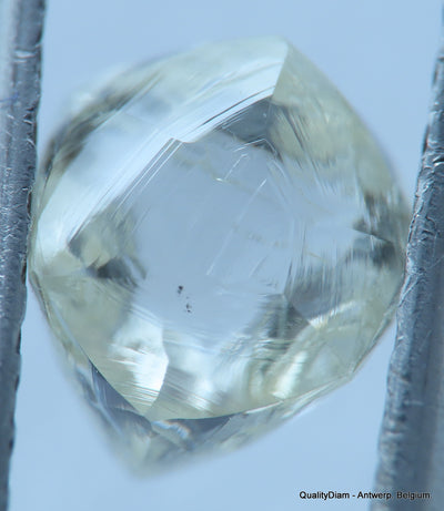 H VVS2 Real & beautiful diamond out diamond mine. natural, uncut gemstone