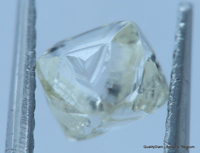 H VS2 Real & beautiful diamond out diamond mine. natural, uncut gemstone