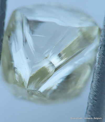 H VVS1 Real & beautiful diamond out diamond mine. natural, uncut gemstone