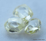 0.73 carat of beautiful collection of natural diamonds out from diamond mines
