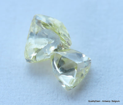 0.51carat beautiful collection of natural diamonds out from diamond mines