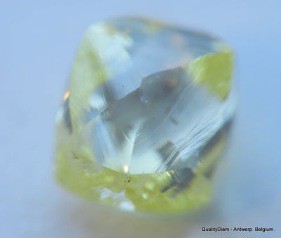 Beautiful diamond intense fancy yellow rare natural diamond mackle