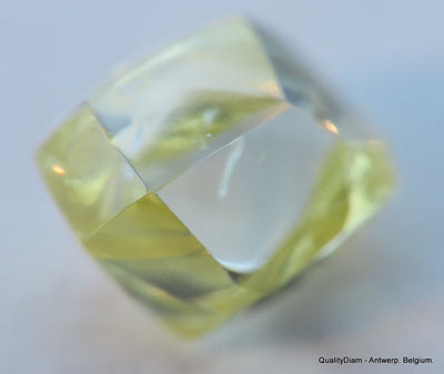 Beautiful diamond intense fancy yellow rare natural diamond mackle