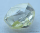 Gemstone - uncut diamond also known as rough diamond out from a diamond mine