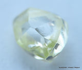 Gemstone - uncut diamond also known as rough diamond out from a diamond mine