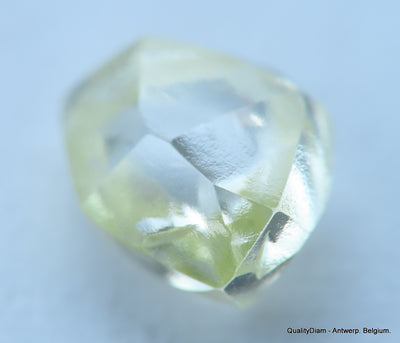 Gemstone - uncut diamond also known as rough diamond out from a diamond mine