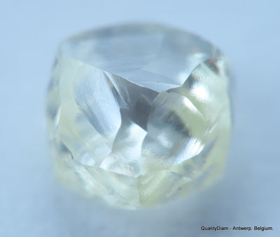 Beautiful diamond mackle out from a diamond mine ideal for uncut diamond jewelry