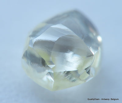 Beautiful diamond mackle out from a diamond mine ideal for uncut diamond jewelry