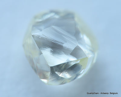 Beautiful diamond mackle out from a diamond mine ideal for uncut diamond jewelry